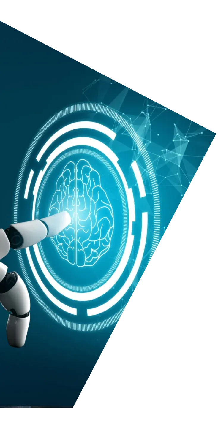 Professional security consulting