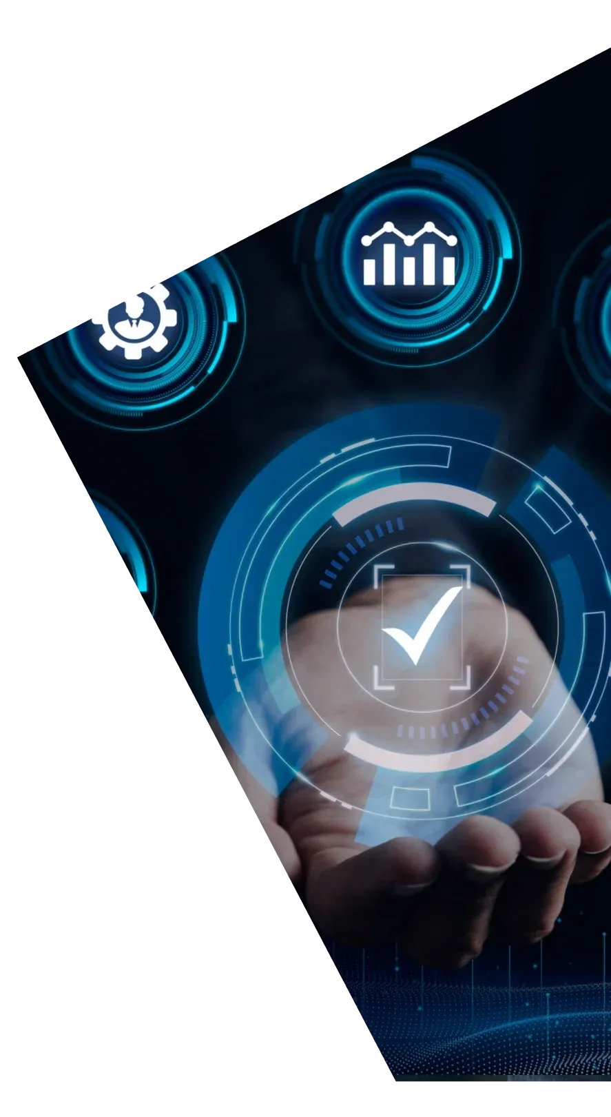 Digital transformation team